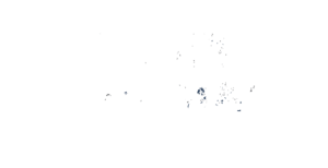 Rumba y Timbal
